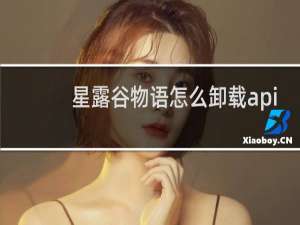 星露谷物语怎么卸载api
