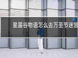 星露谷物语怎么去万圣节迷宫