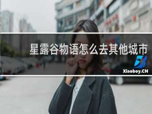 星露谷物语怎么去其他城市