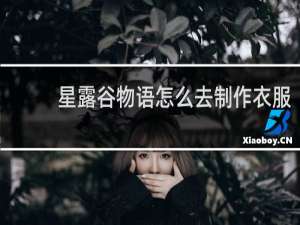 星露谷物语怎么去制作衣服
