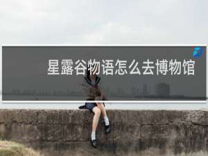 星露谷物语怎么去博物馆