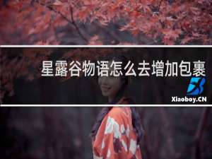 星露谷物语怎么去增加包裹
