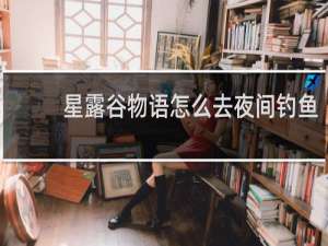 星露谷物语怎么去夜间钓鱼