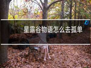 星露谷物语怎么去孤单