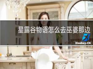 星露谷物语怎么去巫婆那边