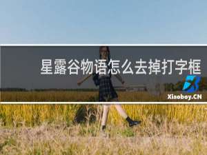 星露谷物语怎么去掉打字框