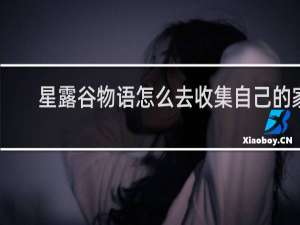 星露谷物语怎么去收集自己的家