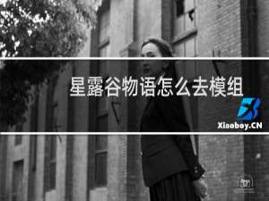 星露谷物语怎么去模组