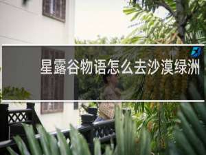 星露谷物语怎么去沙漠绿洲