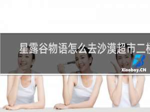 星露谷物语怎么去沙漠超市二楼