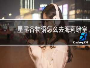 星露谷物语怎么去海莉暗室