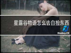 星露谷物语怎么去白捡东西