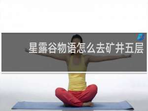 星露谷物语怎么去矿井五层