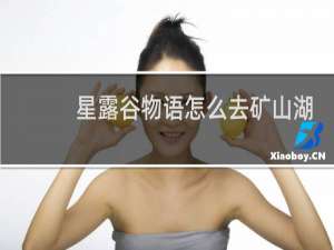 星露谷物语怎么去矿山湖