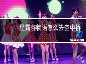 星露谷物语怎么去空中桥