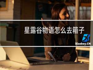 星露谷物语怎么去箱子