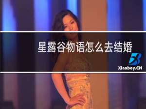 星露谷物语怎么去结婚