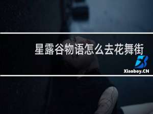 星露谷物语怎么去花舞街