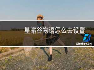 星露谷物语怎么去设置