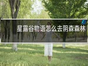 星露谷物语怎么去阴森森林