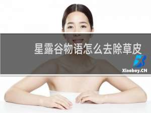 星露谷物语怎么去除草皮