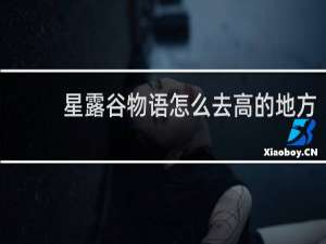 星露谷物语怎么去高的地方