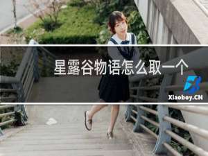 星露谷物语怎么取一个