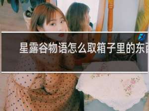 星露谷物语怎么取箱子里的东西