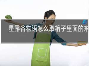 星露谷物语怎么取箱子里面的东西