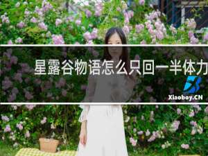 星露谷物语怎么只回一半体力