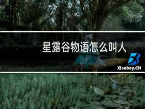 星露谷物语怎么叫人