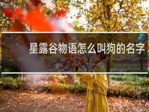 星露谷物语怎么叫狗的名字