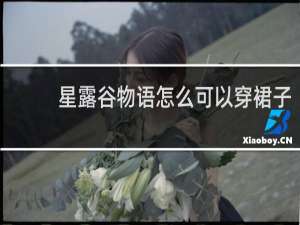 星露谷物语怎么可以穿裙子