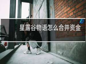 星露谷物语怎么合并资金