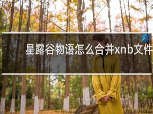 星露谷物语怎么合并xnb文件