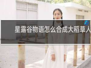 星露谷物语怎么合成大稻草人