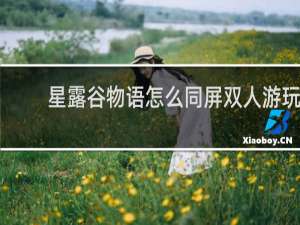星露谷物语怎么同屏双人游玩
