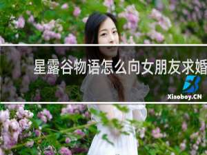 星露谷物语怎么向女朋友求婚