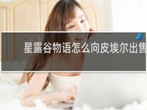 星露谷物语怎么向皮埃尔出售