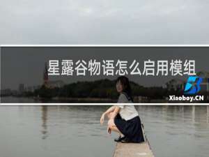 星露谷物语怎么启用模组