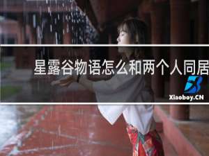 星露谷物语怎么和两个人同居