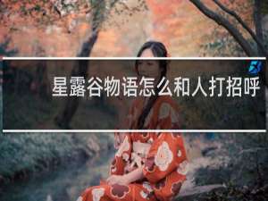 星露谷物语怎么和人打招呼
