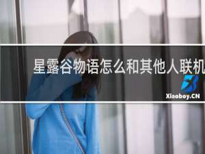 星露谷物语怎么和其他人联机