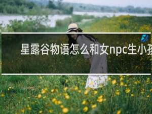 星露谷物语怎么和女npc生小孩
