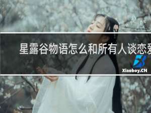 星露谷物语怎么和所有人谈恋爱