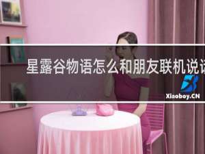 星露谷物语怎么和朋友联机说话