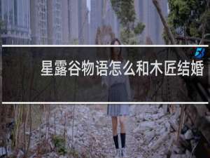 星露谷物语怎么和木匠结婚