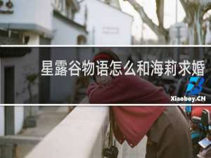 星露谷物语怎么和海莉求婚