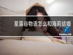 星露谷物语怎么和海莉结婚