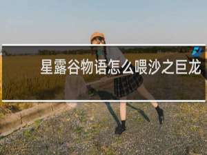 星露谷物语怎么喂沙之巨龙